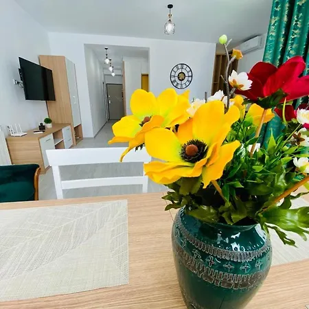 Comfort Island Mamaia Nord *